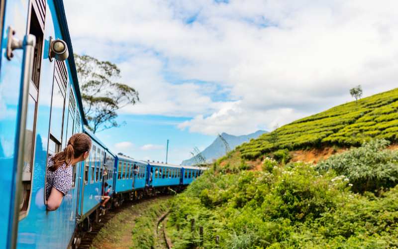 Day 14: Nuwara Eliya → Horton Plains → Ella