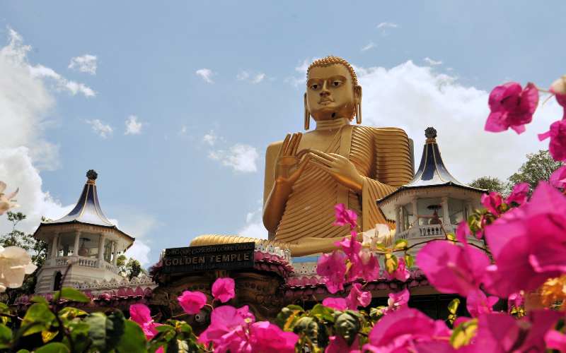 Day 7: Dambulla → Airport