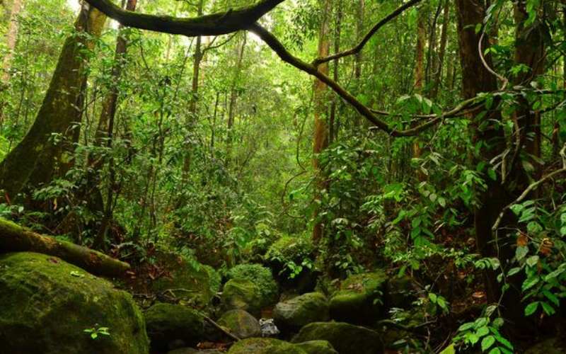 Day 20: Sinharaja → Colombo