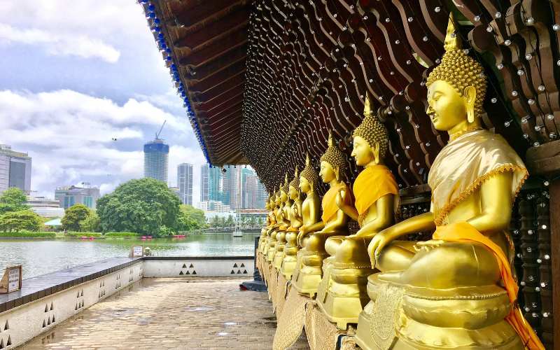 Day 11: Bentota → Colombo