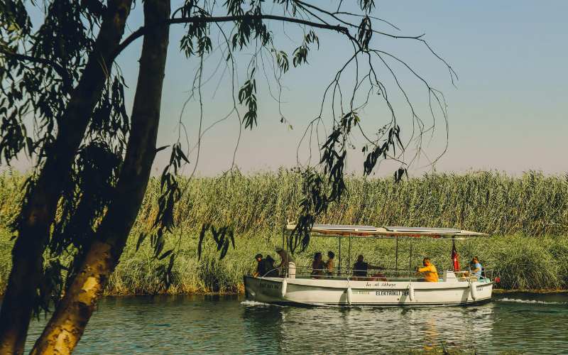 Day 8: Galle → Bentota