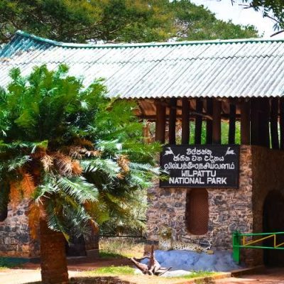 Wilpattu National Park