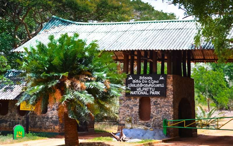 Wilpattu National Park