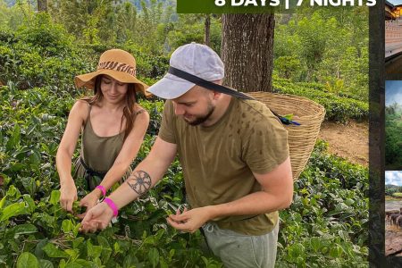 🏔️ 8 Days – Hill Country of Sri Lanka Tour