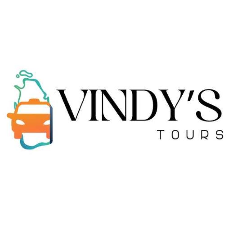vindys logo