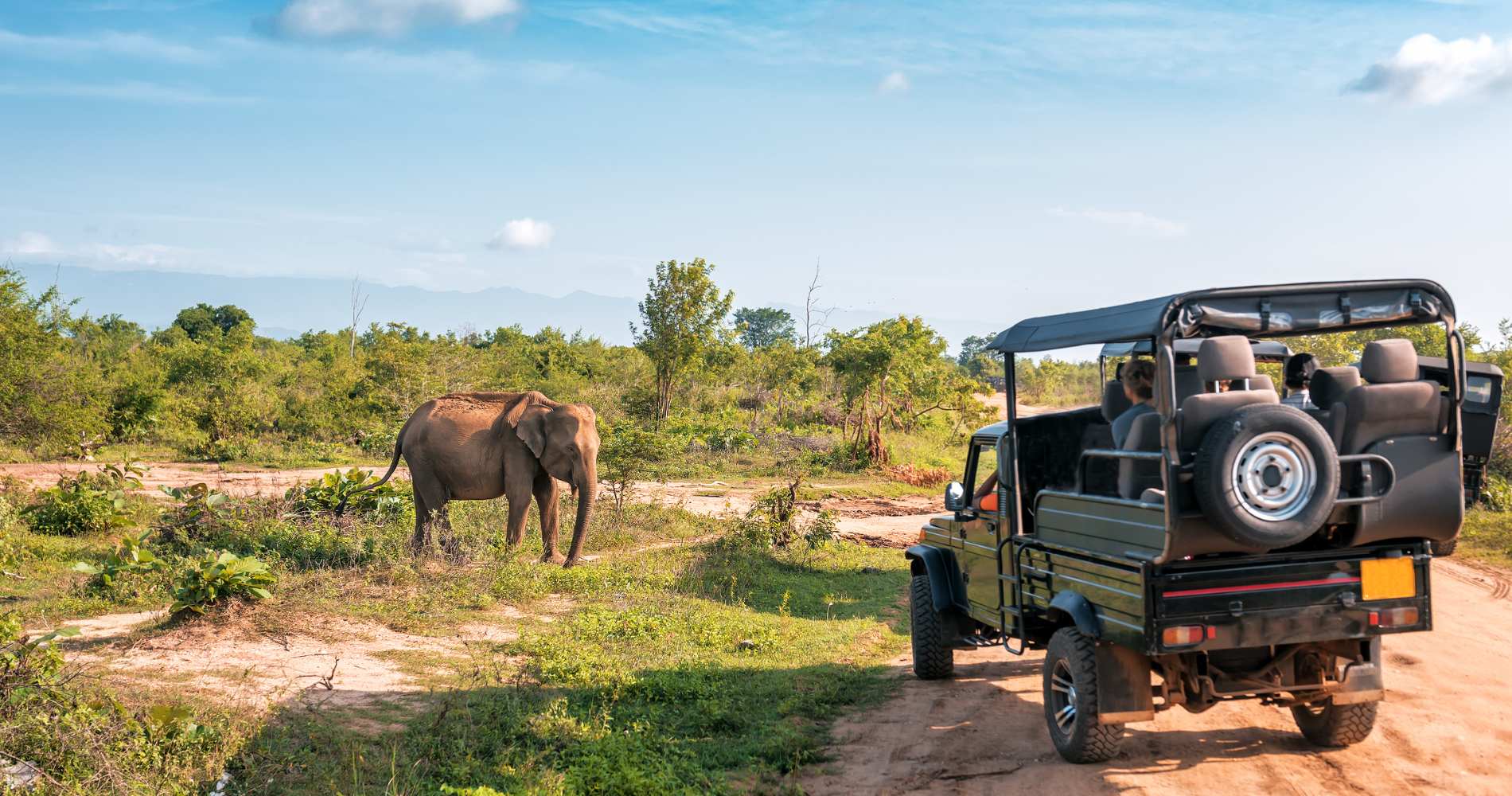 🐆 Yala – Sri Lanka’s Premier Wildlife Destination
