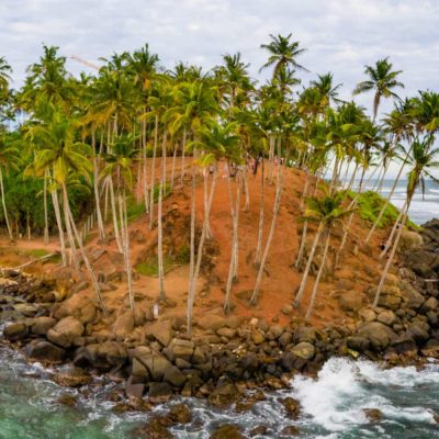 🐬 Mirissa – The Tropical Beach & Whale Watching Paradise