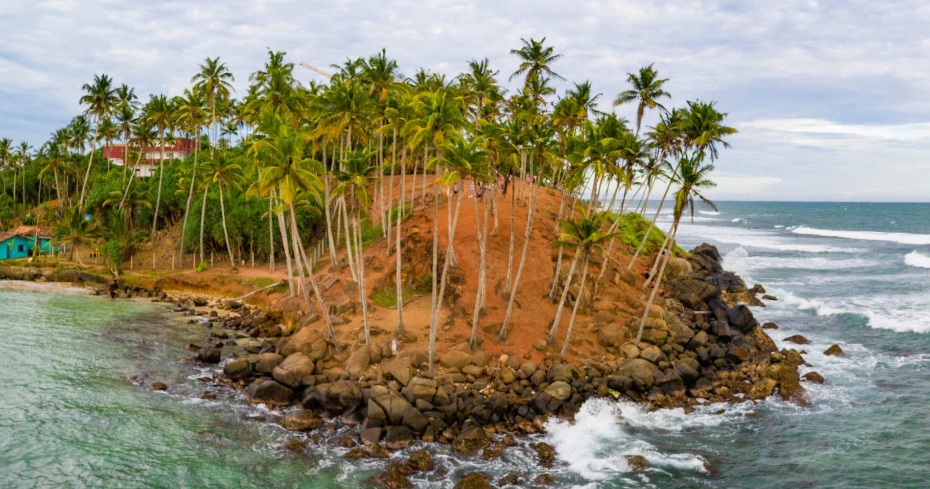 🐬 Mirissa – The Tropical Beach & Whale Watching Paradise