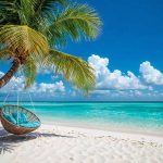 Best time to visit Sri Lanka beaches with palm trees and turquoise water