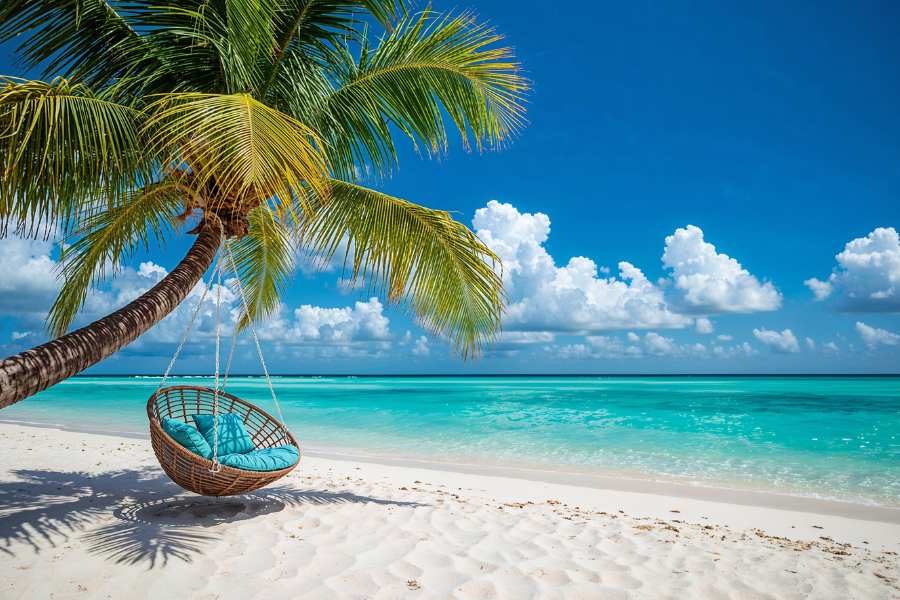 Best time to visit Sri Lanka beaches with palm trees and turquoise water