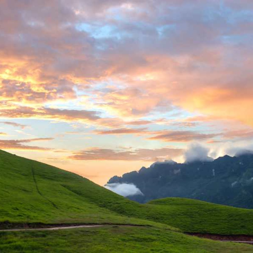 car with driver Sri Lanka
