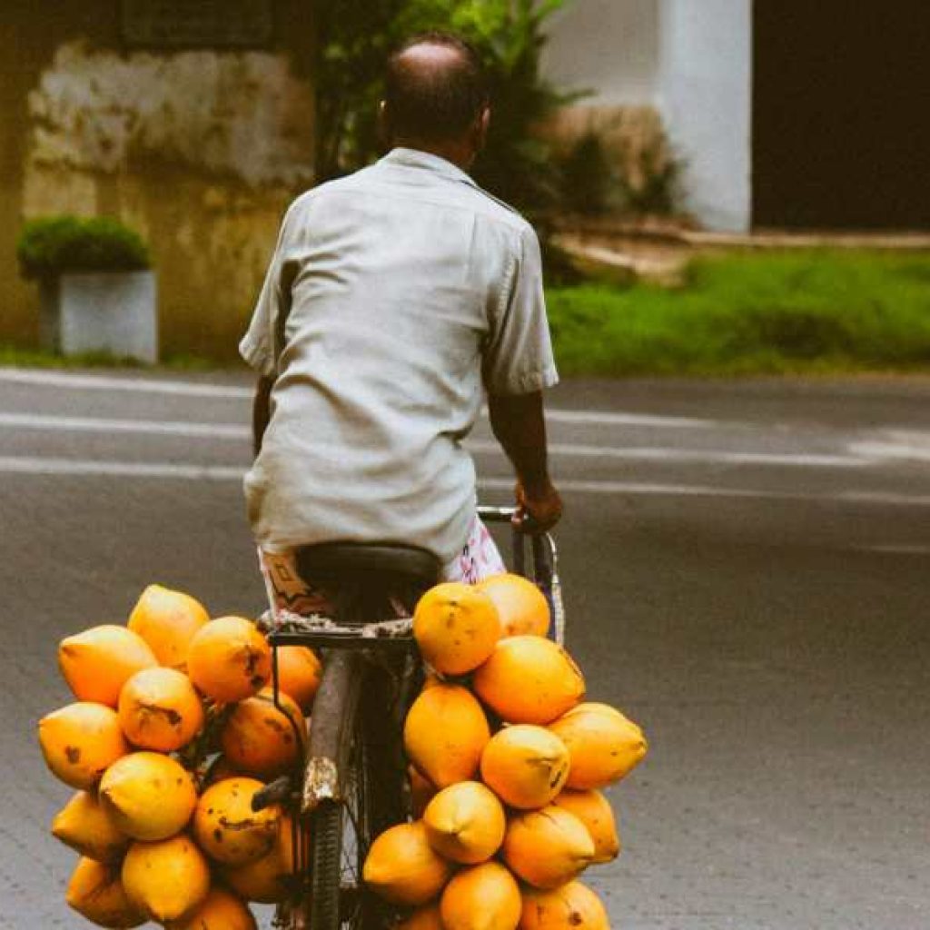car with driver Sri Lanka